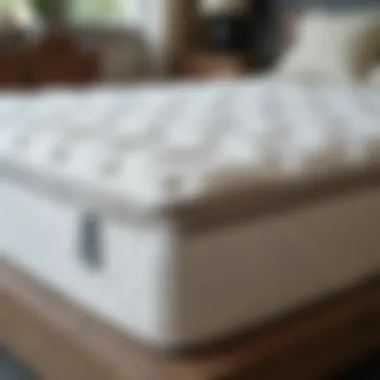 Materials used in the construction of a 31 x 75 mattress